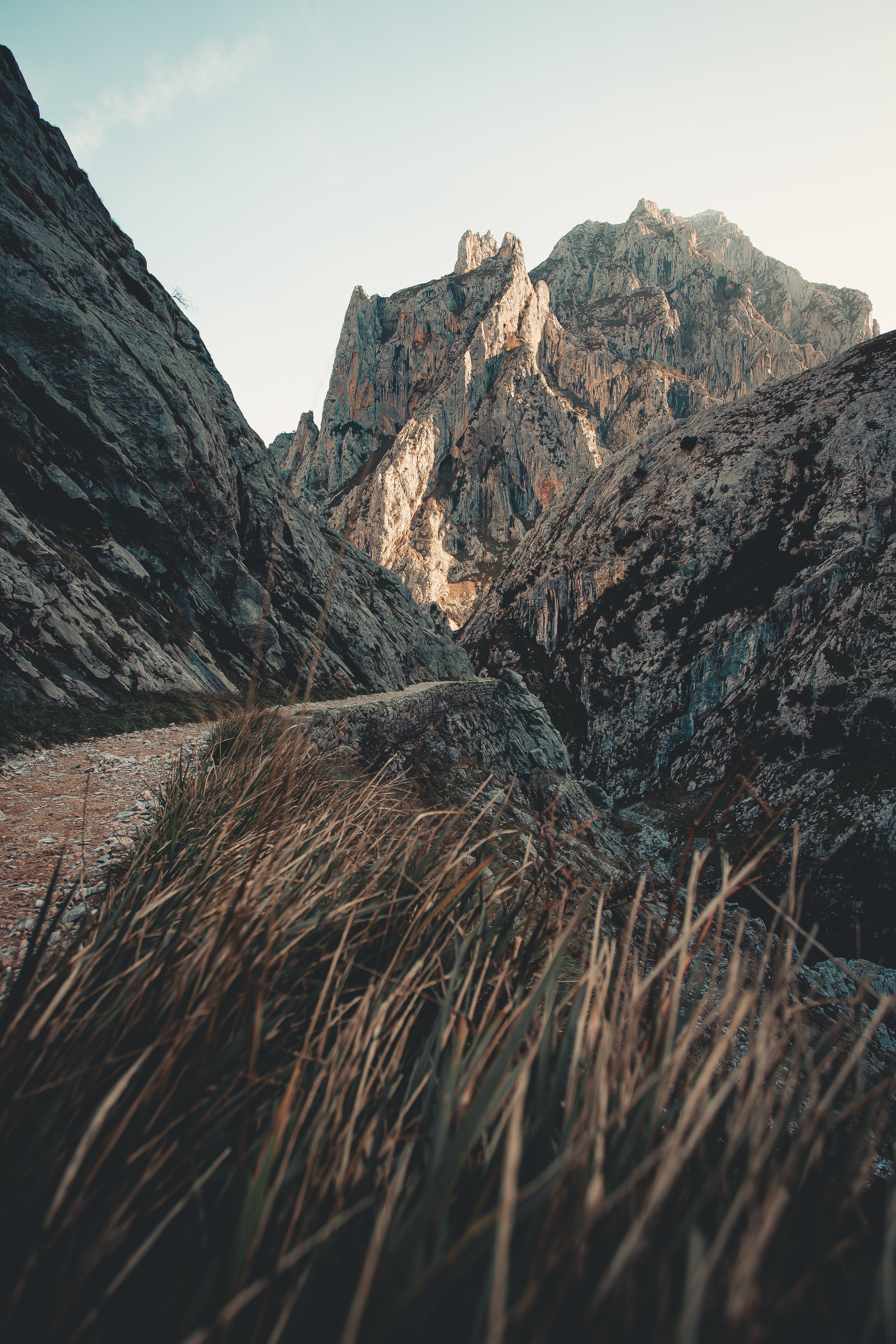 Trail running in Idaho